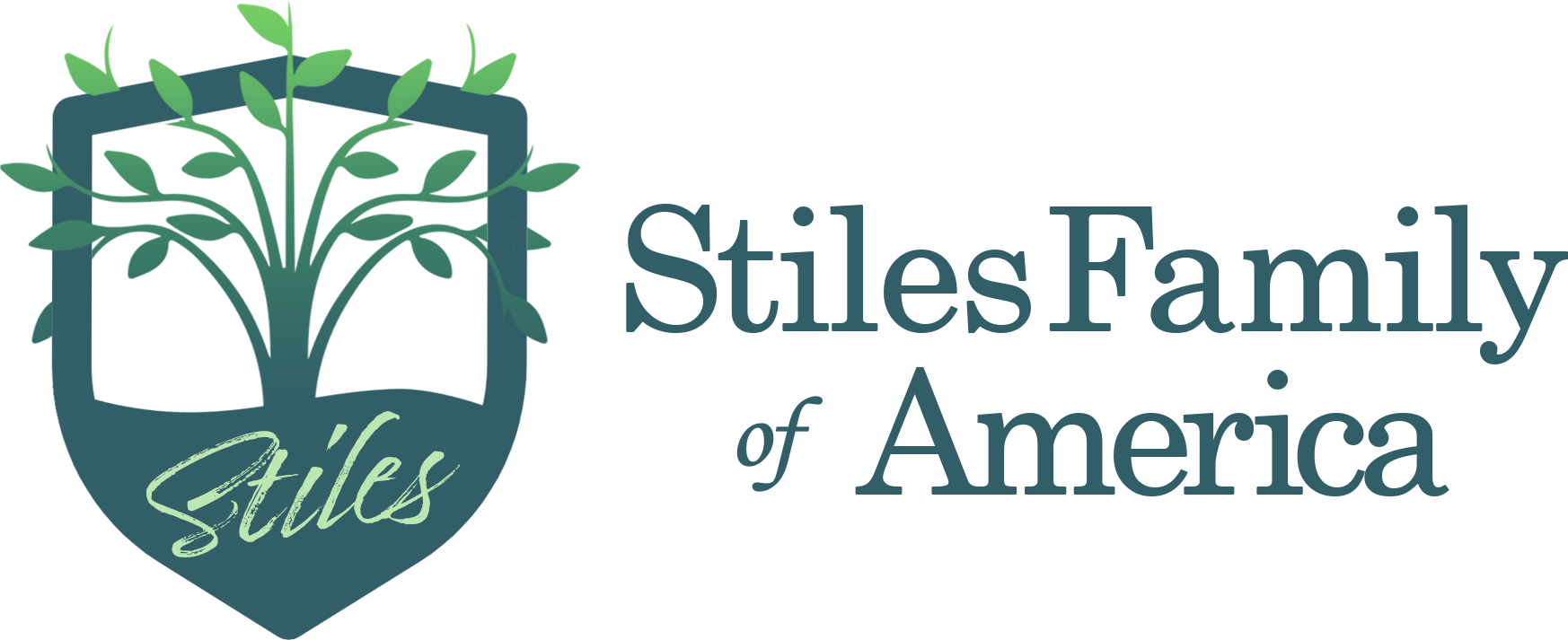 dna-project-stiles-family-of-america
